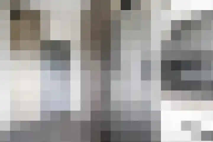 Wilddreef 74 Leiderdorp thumbnail 33