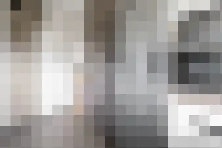 Wilddreef 74 Leiderdorp thumbnail 34