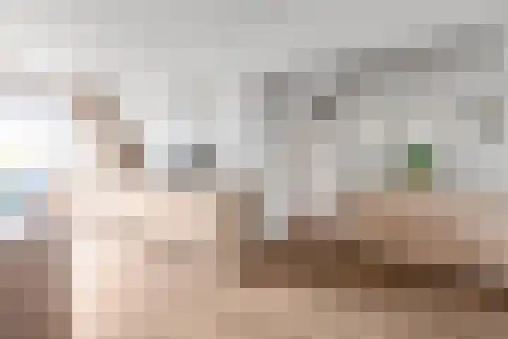 Wilddreef 74 Leiderdorp thumbnail 35
