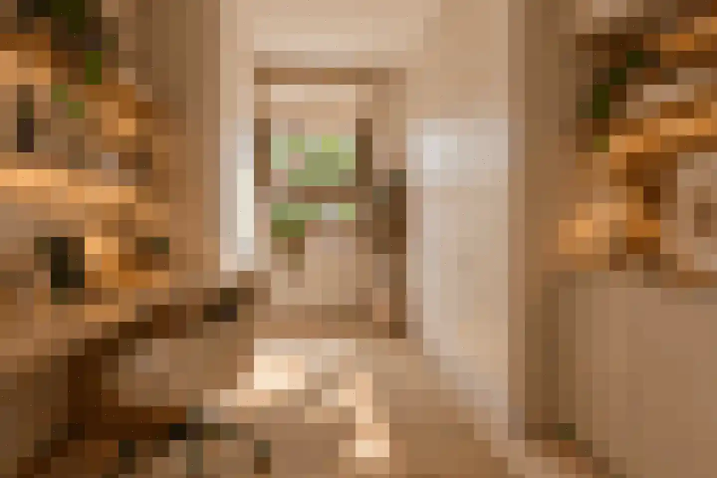 Wilddreef 84 Leiderdorp thumbnail 19