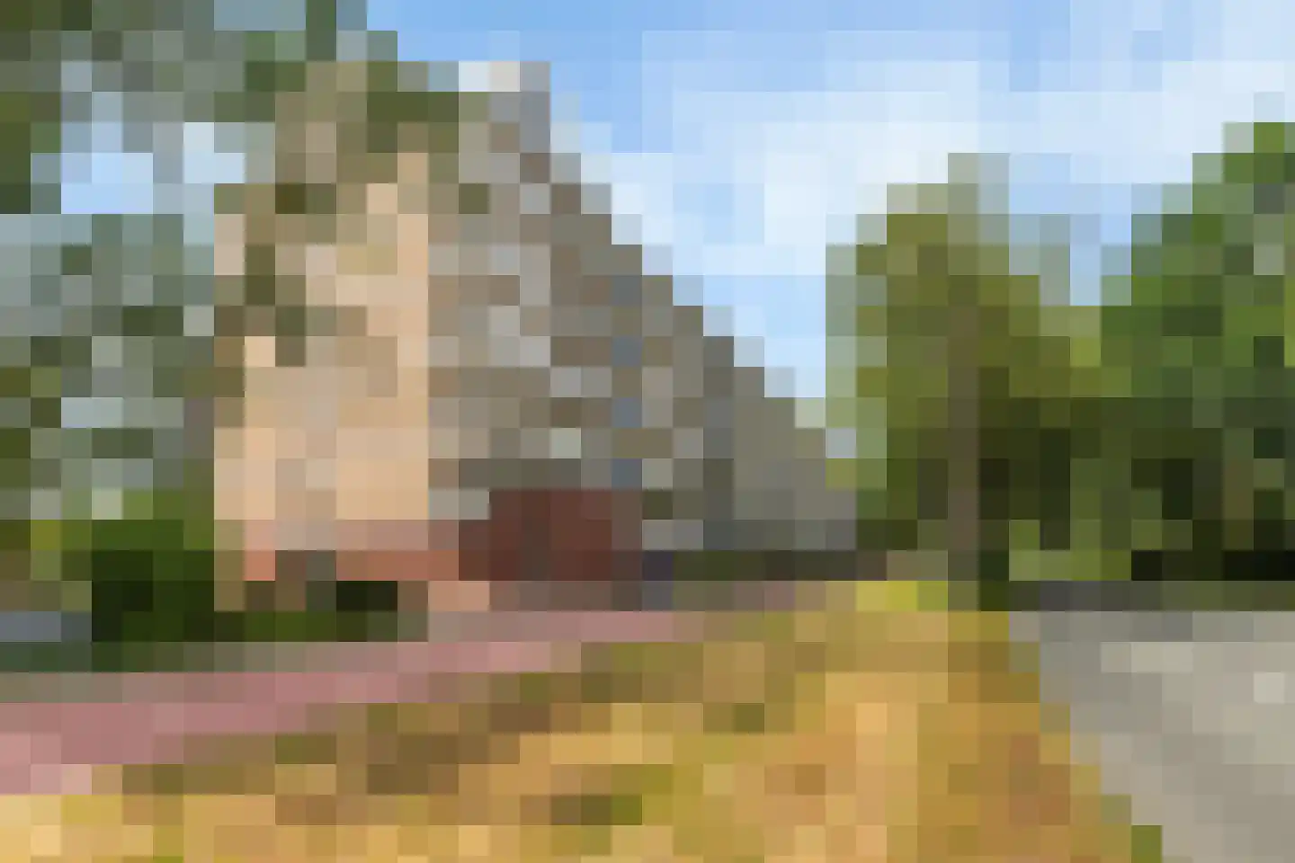 Wilddreef 84 Leiderdorp thumbnail 22