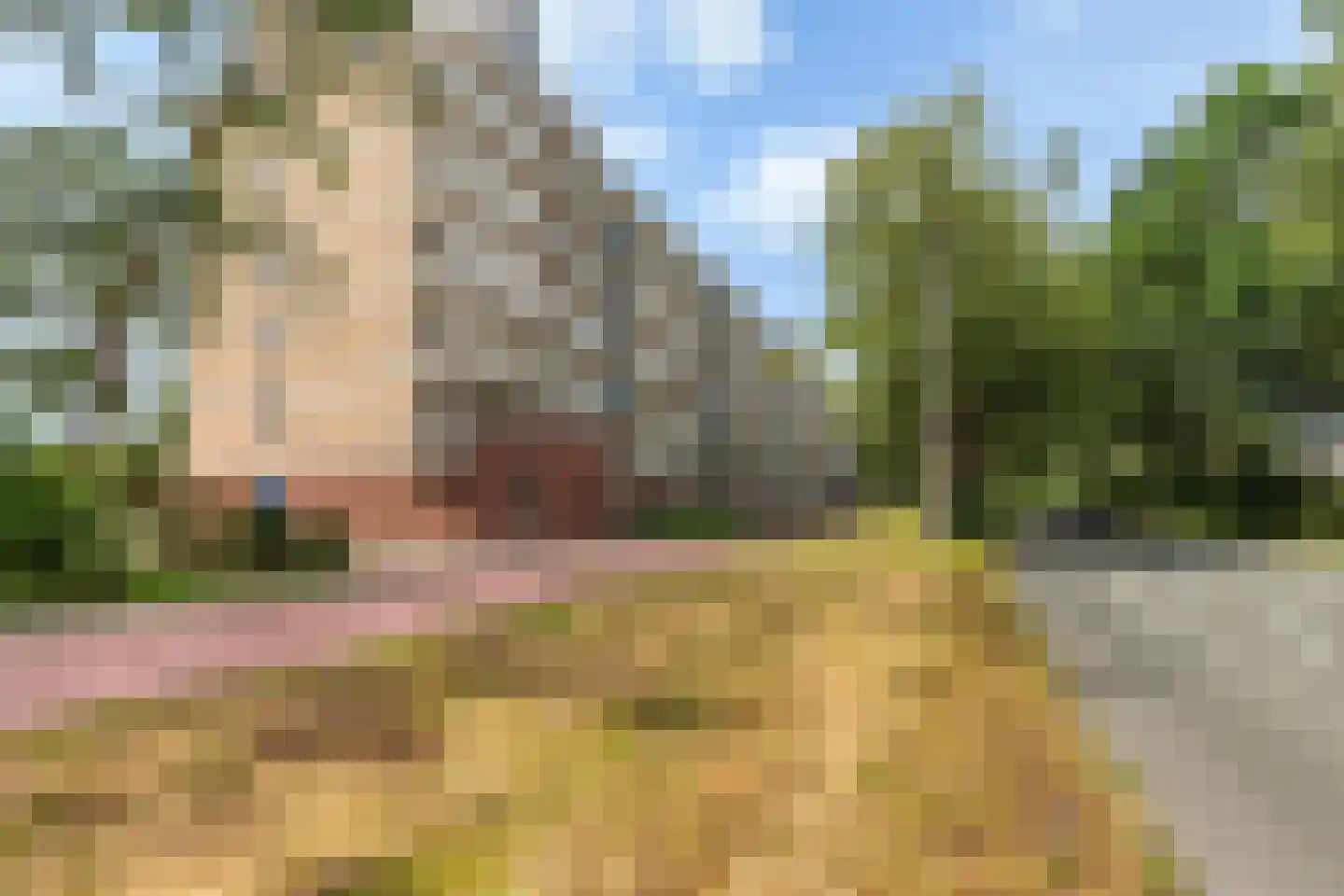 Wilddreef 84 Leiderdorp thumbnail 23