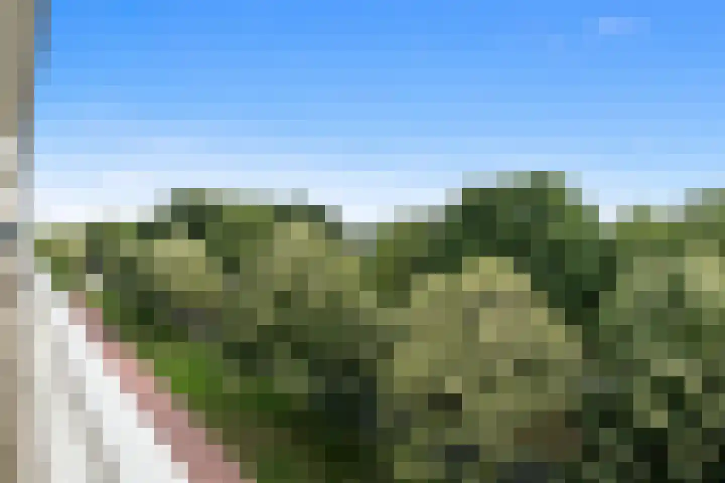 Wilddreef 90 Leiderdorp thumbnail 41