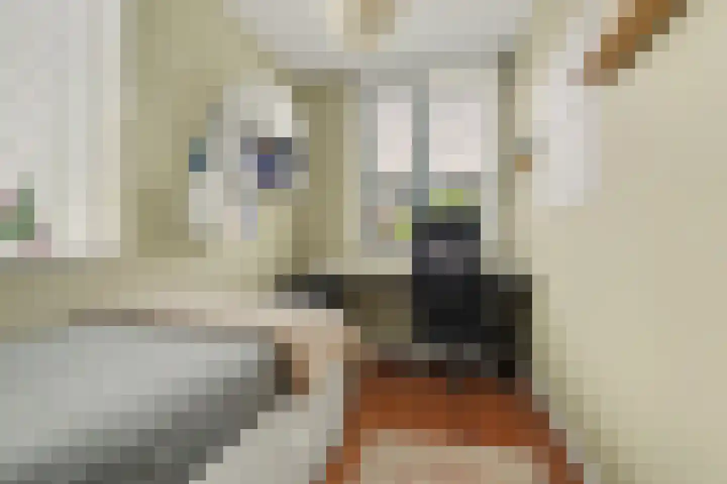 Wilde eendstraat 4 Vlaardingen thumbnail 16