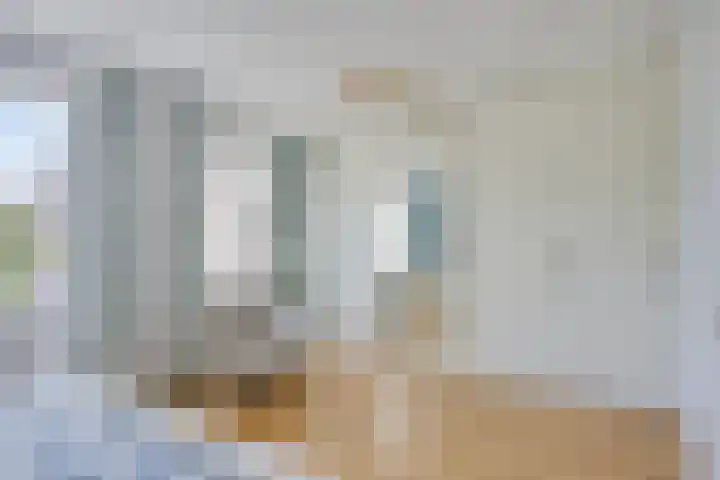 Wilde Hoppad 4 Heerhugowaard thumbnail 24