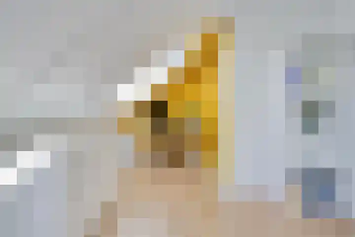 Wilde Hoppad 4 Heerhugowaard thumbnail 33