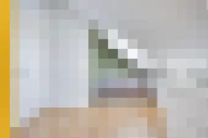 Wilde Hoppad 4 Heerhugowaard thumbnail 34