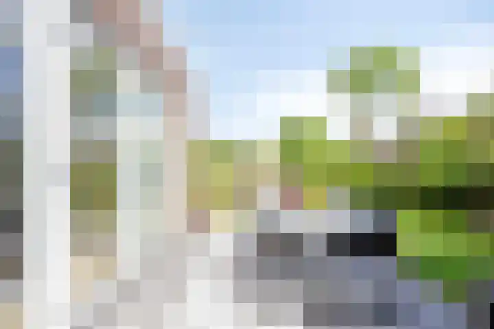 Wilde Hoppad 4 Heerhugowaard thumbnail 37