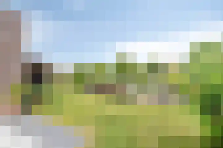 Wilde Hoppad 4 Heerhugowaard thumbnail 38