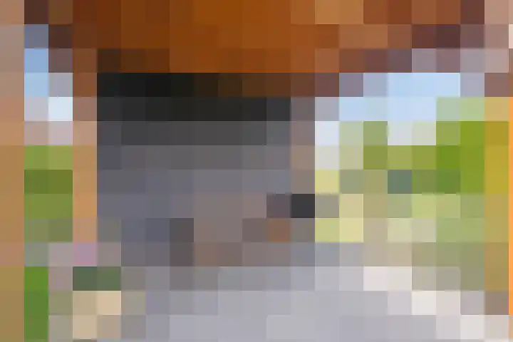 Wilde Hoppad 4 Heerhugowaard thumbnail 41