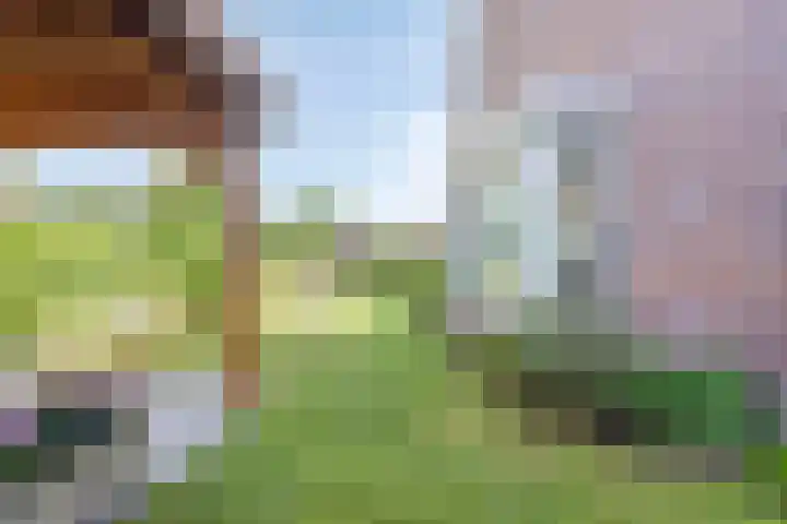 Wilde Hoppad 4 Heerhugowaard thumbnail 42