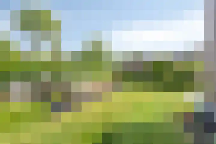 Wilde Hoppad 4 Heerhugowaard thumbnail 43