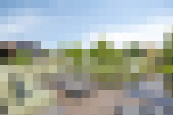 Wilde Hoppad 4 Heerhugowaard thumbnail 44