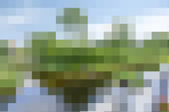 Wilde Hoppad 4 Heerhugowaard thumbnail 46