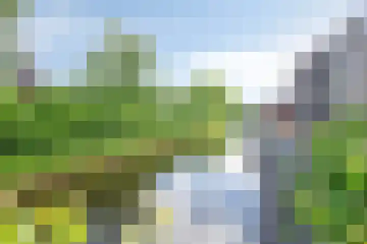 Wilde Hoppad 4 Heerhugowaard thumbnail 47