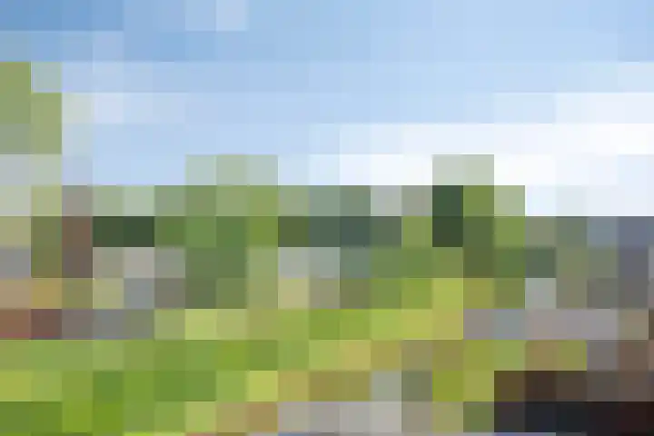Wilde Hoppad 4 Heerhugowaard thumbnail 48