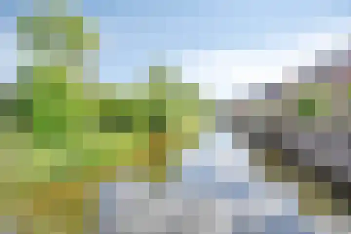 Wilde Hoppad 4 Heerhugowaard thumbnail 49