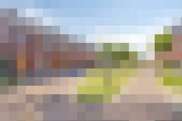 Wilde Hoppad 4 Heerhugowaard thumbnail 50