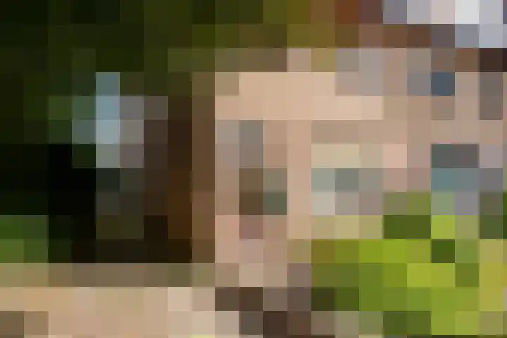 Wilde-Landweg 15 Nunspeet thumbnail 4