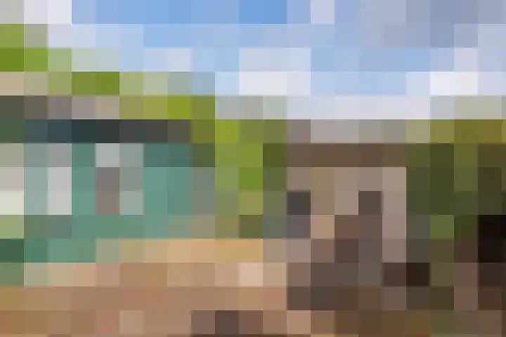 Wilde-Landweg 15 Nunspeet thumbnail 42