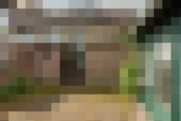 Wilde-Landweg 15 Nunspeet thumbnail 43