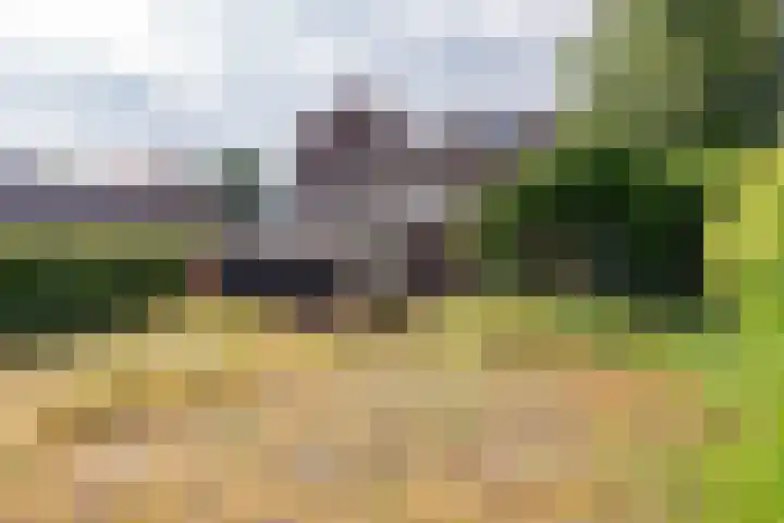 Wilde-Landweg 15 Nunspeet thumbnail 44