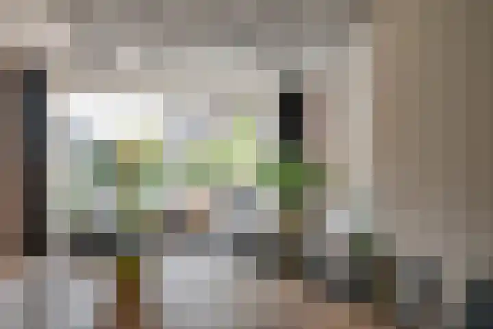 Wilde rijstvliet 100 Utrecht thumbnail 11