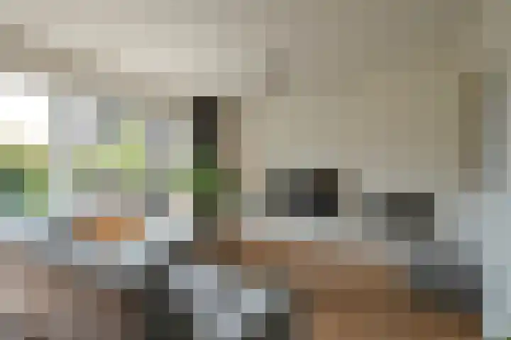 Wilde rijstvliet 100 Utrecht thumbnail 12