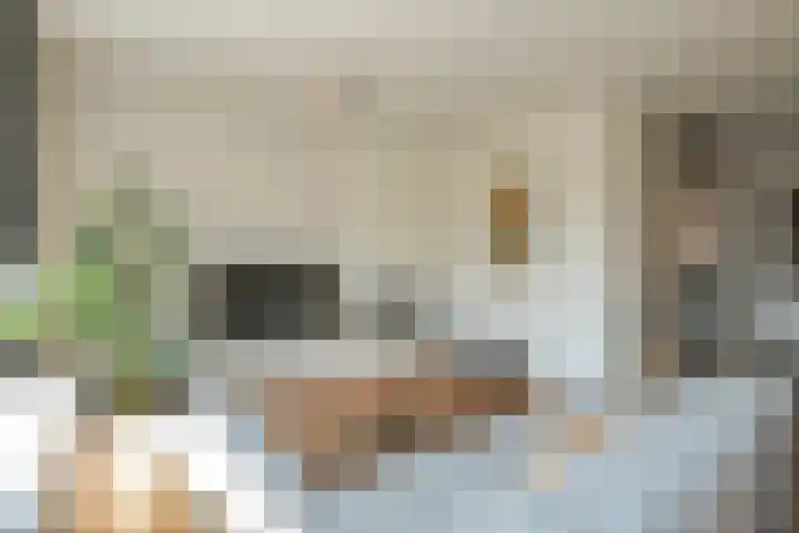 Wilde rijstvliet 100 Utrecht thumbnail 13