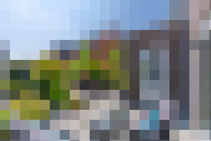 Wilde rijstvliet 100 Utrecht thumbnail 15
