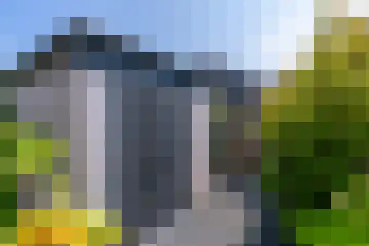 Wilde rijstvliet 100 Utrecht thumbnail 16