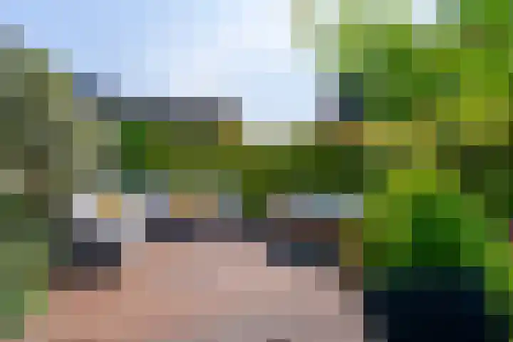 Wilde rijstvliet 100 Utrecht thumbnail 17