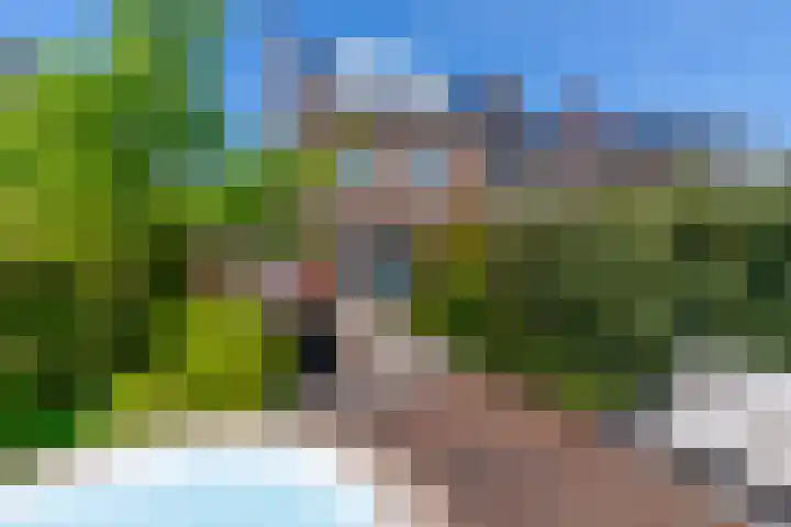 Wilde rijstvliet 100 Utrecht thumbnail 18