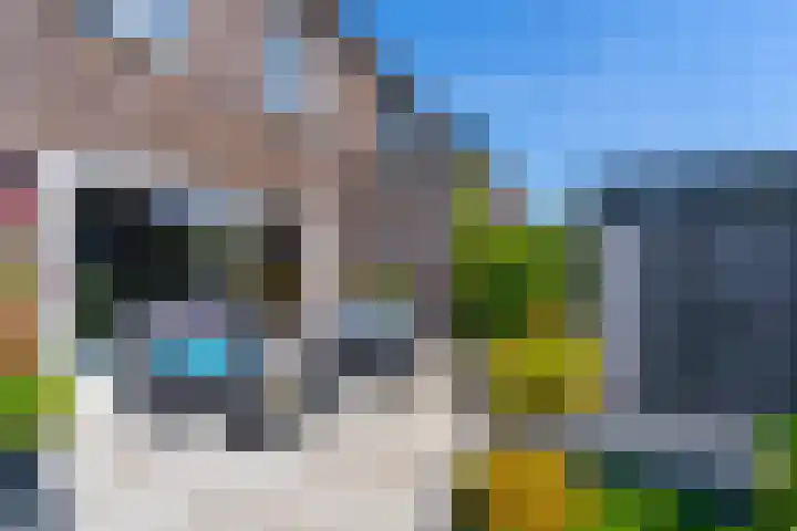 Wilde rijstvliet 100 Utrecht thumbnail 19