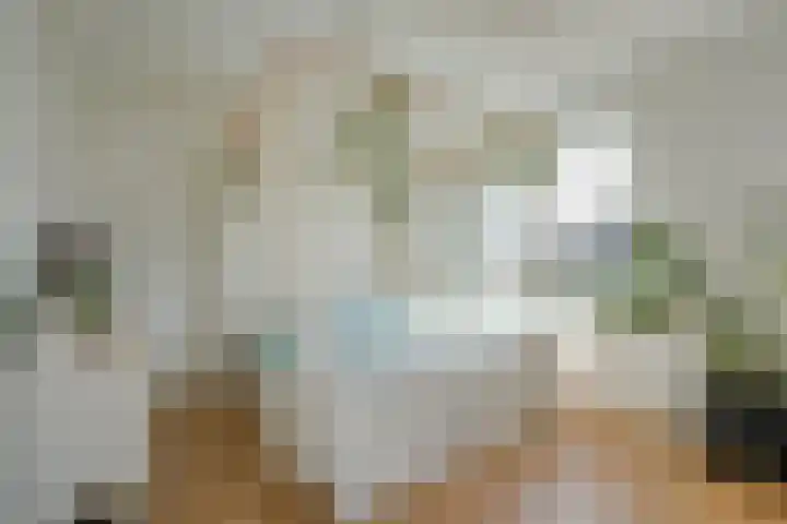 Wilde rijstvliet 100 Utrecht thumbnail 22