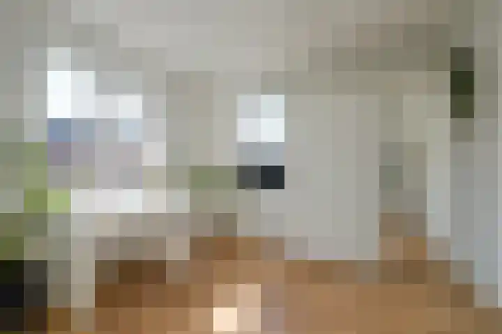 Wilde rijstvliet 100 Utrecht thumbnail 23