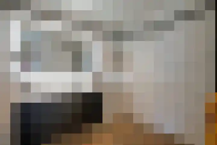 Wilde rijstvliet 100 Utrecht thumbnail 28