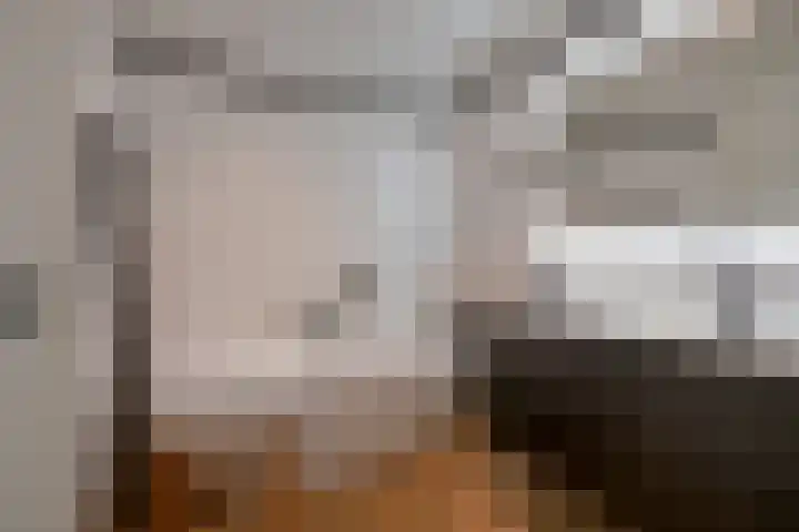 Wilde rijstvliet 100 Utrecht thumbnail 29