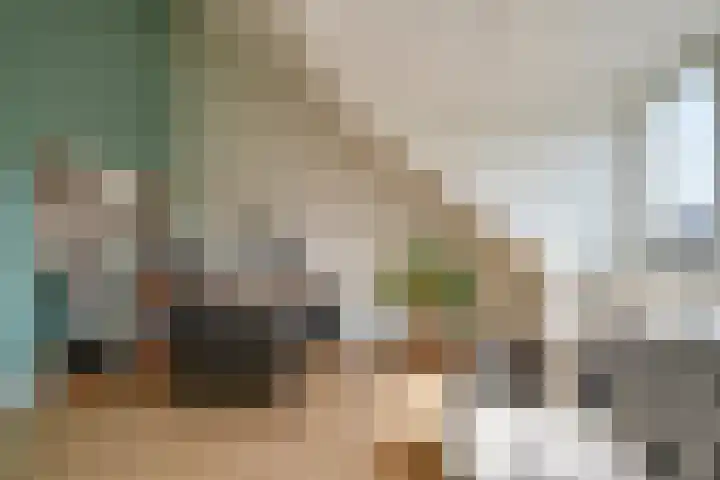 Wilde rijstvliet 100 Utrecht thumbnail 33