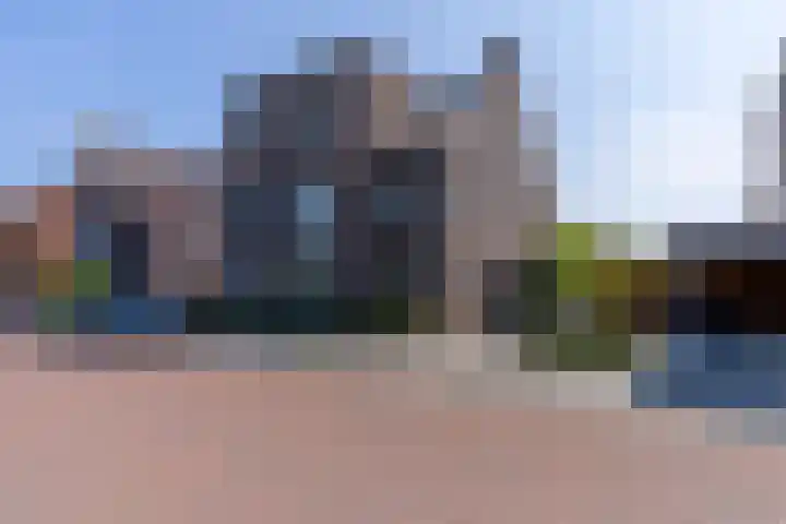 Wilde rijstvliet 100 Utrecht thumbnail 37