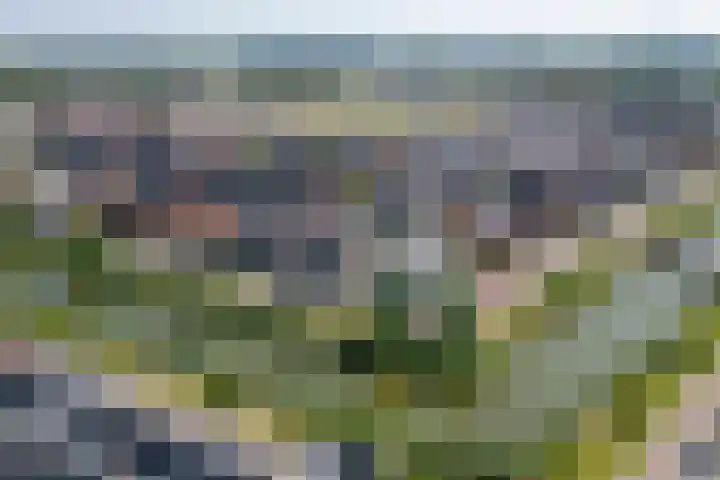 Wilde rijstvliet 100 Utrecht thumbnail 38