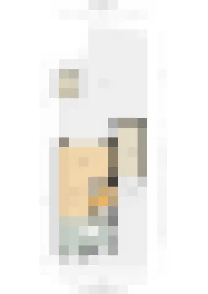 Wilde rijstvliet 100 Utrecht thumbnail 39