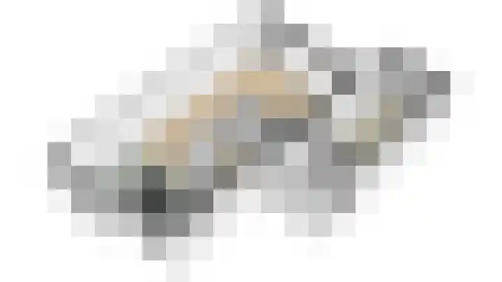 Wilde rijstvliet 100 Utrecht thumbnail 41