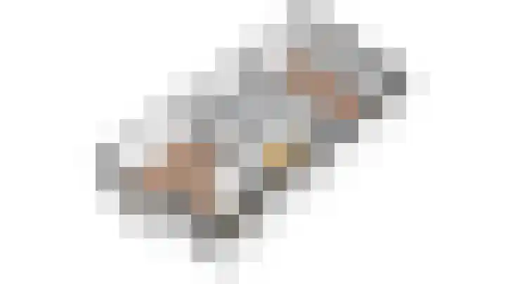 Wilde rijstvliet 100 Utrecht thumbnail 43