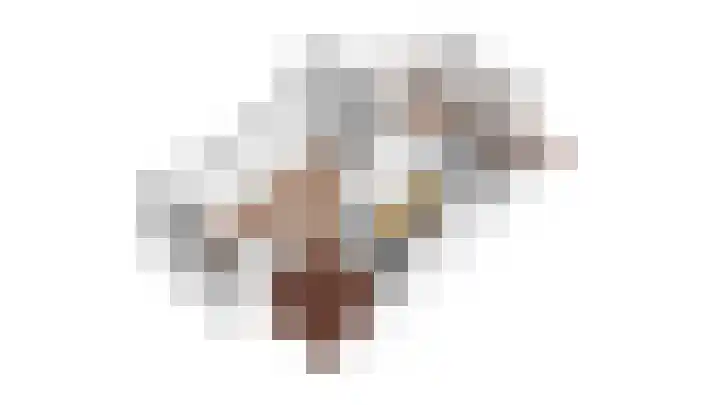 Wilde rijstvliet 100 Utrecht thumbnail 45