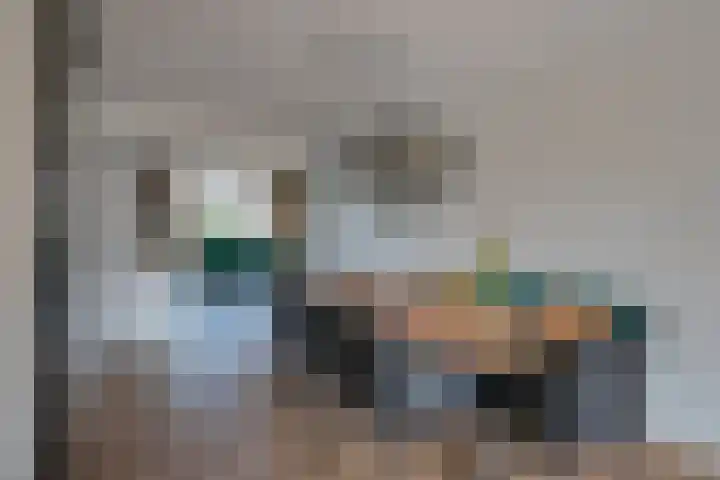 Wilde rijstvliet 100 Utrecht thumbnail 5