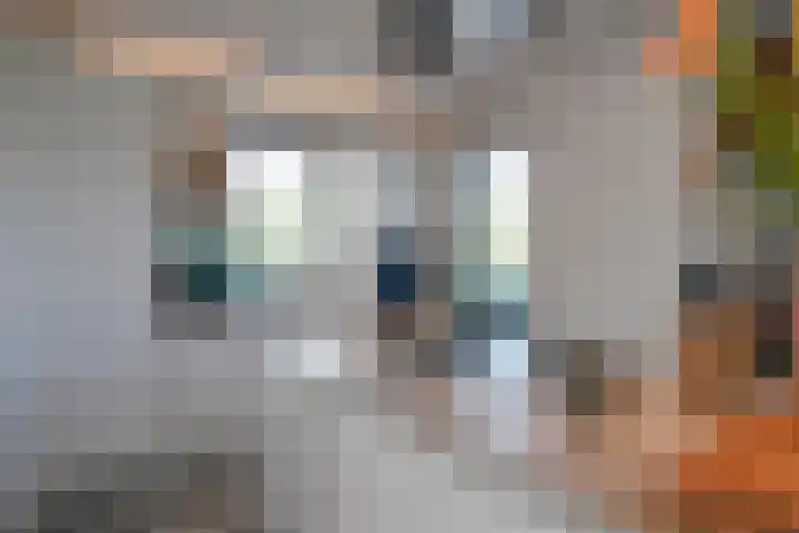 Wilde rijstvliet 100 Utrecht thumbnail 9
