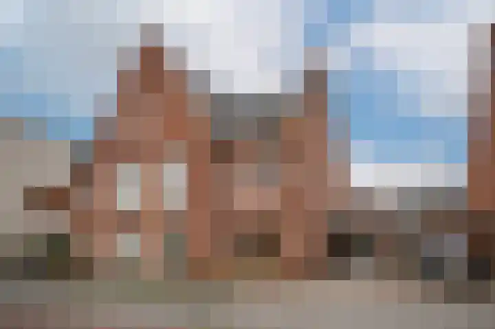 Wilde rijstvliet 84 Utrecht