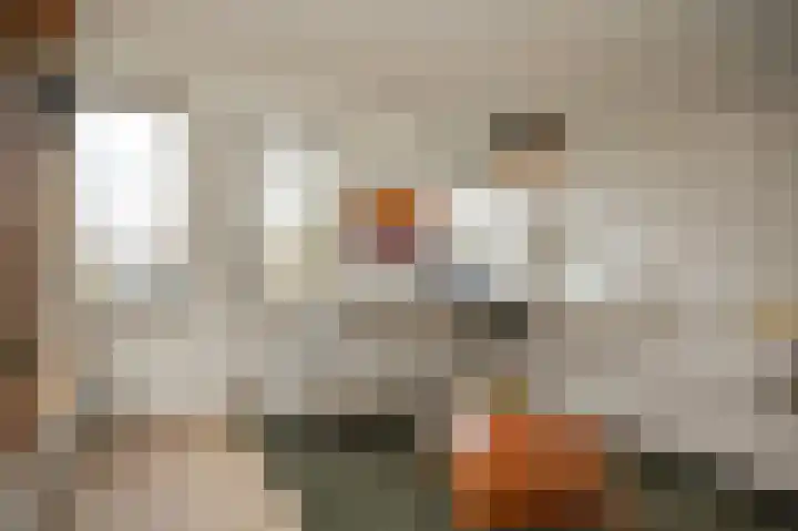 Wilde rijstvliet 84 Utrecht thumbnail 11