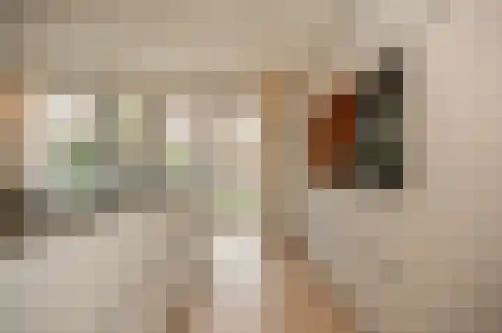 Wilde rijstvliet 84 Utrecht thumbnail 15